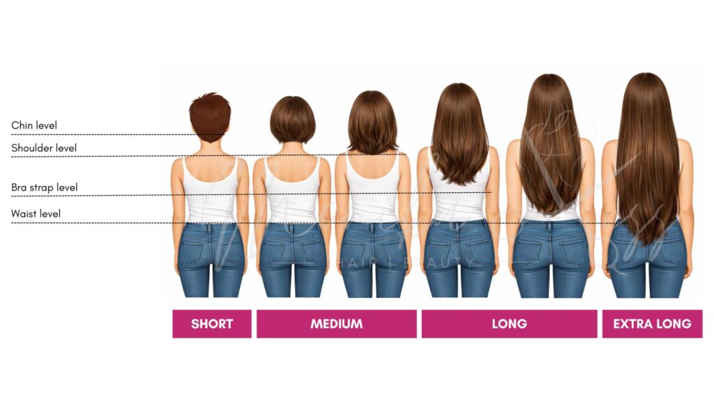 professional hair length chart to short, medium, long and extra long hair by monika kiss hair & beauty
